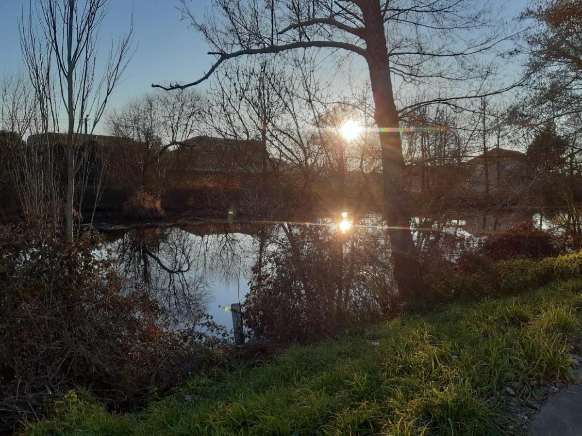 Apartamento Atico Rosita En Camino De Santiago Xinzo de Limia Exterior foto